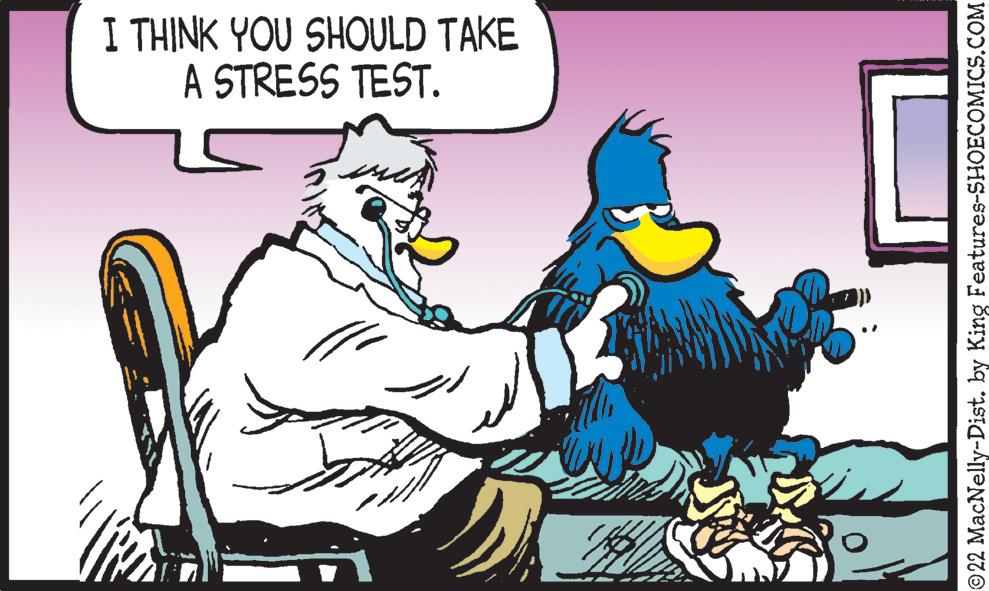 Conversation OCR: I THINK YOU SHOULD TAKE A STRESS TEST. alle 22 MacNelly-Dist. by King Features-SHOECOMICS.COM I THINK YOU SHOULD TAKE A STRESS TEST . alle 22 MacNelly - Dist . by King Features-SHOECOMICS.COM