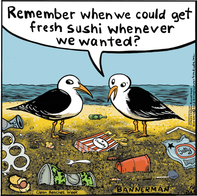 Seabird OCR: Remember when we could get fresh sushi whenever we wanted? HOR Clean Beaches Week Crunchy BANNERMAN Ozozz Isabella Bannerman SIXCHIXOZ022King Fe Salty AIDIA Remember when we could get fresh sushi whenever we wanted ? HOR Clean Beaches Week Crunchy BANNERMAN Ozozz Isabella Bannerman SIXCHIXOZ022King Fe Salty AIDIA