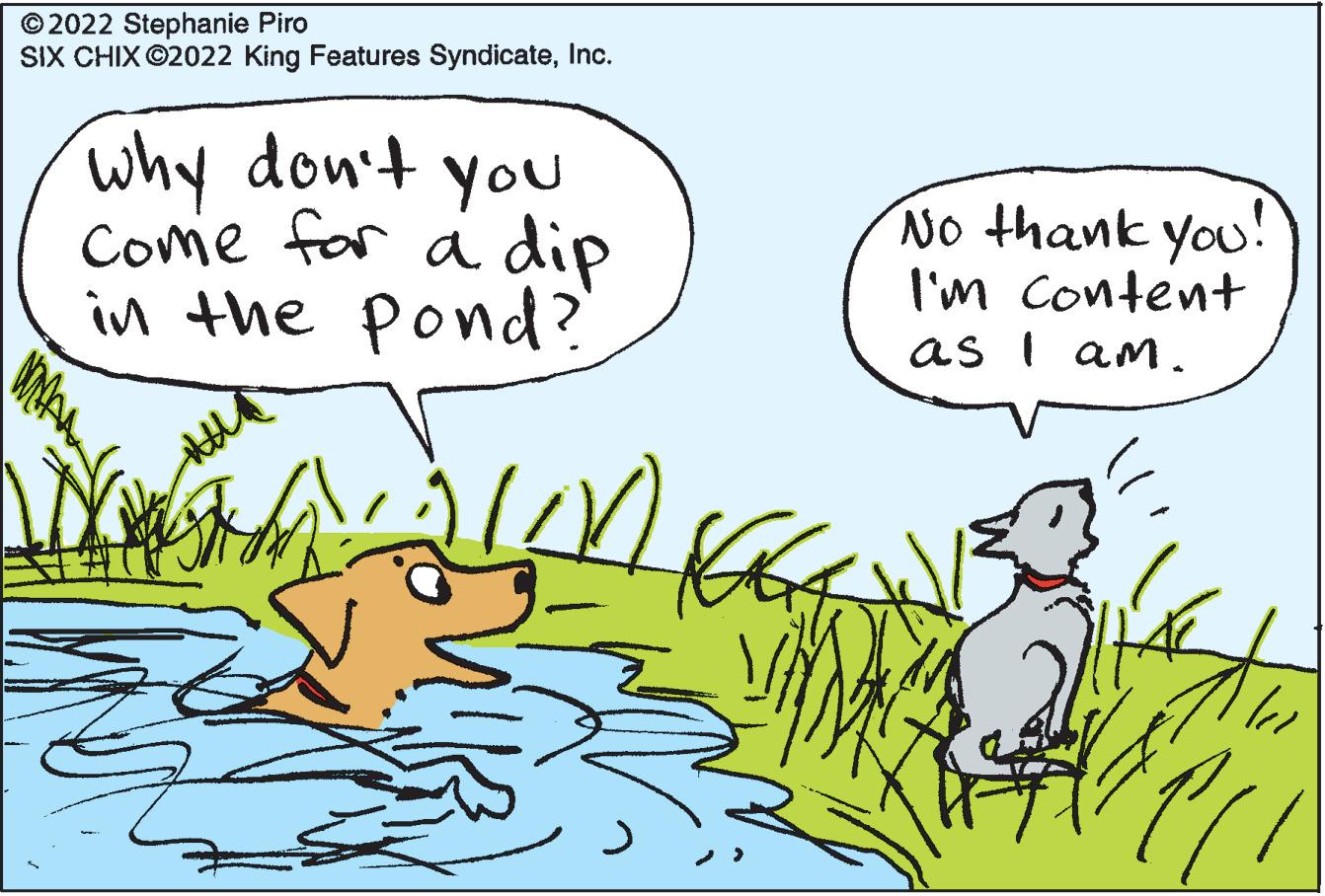 Adaptation OCR: ?2022 Stephanie Piro SIX CHIX ?2022 King Features SyndicateInc. Why don't you Come for a dip in the pond? ? Bust No thank you! I'm content as I am. ?2022 Stephanie Piro SIX CHIX ?2022 King Features SyndicateInc. Why don't you Come for a dip in the pond ? ? Bust No thank you ! I'm content as I am .