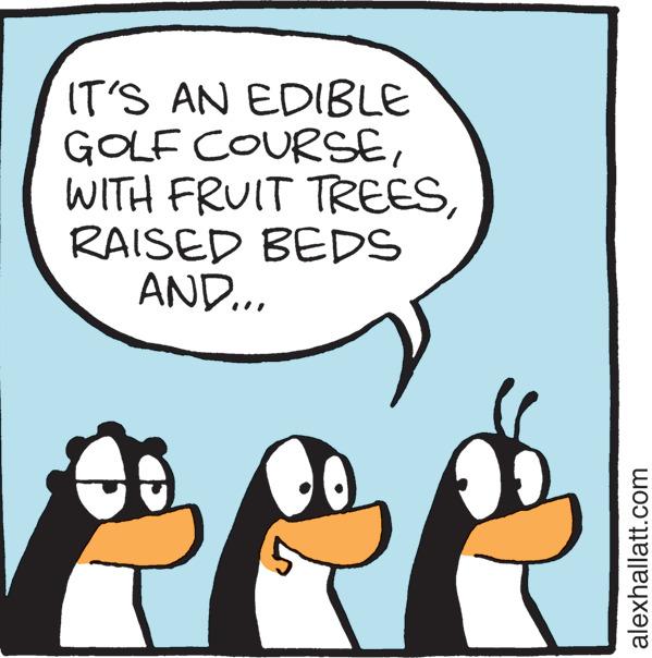 Happy OCR: IT'S AN EDIBLE GOLF COURSERAISED BEDS AND... alexhallatt.com IT'S AN EDIBLE GOLF COURSEWITH FRUIT TREESRAISED BEDS AND ... alexhallatt.com
