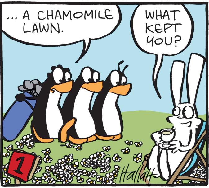 Adaptation OCR: A CHAMOMILE LAWN. Bas (56 11 ???? KEPT YOU? Hallatt- A CHAMOMILE LAWN . Bas ( 56 11 ???? KEPT YOU ? Hallatt