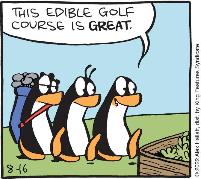 Handwriting OCR: 8-16 © 2022 Alex Hallattdist. by King Features Syndicate COURSE IS GREAT. THIS EDIBLE GOLF 8-16 © 2022 Alex Hallattdist . by King Features Syndicate COURSE IS GREAT . THIS EDIBLE GOLF