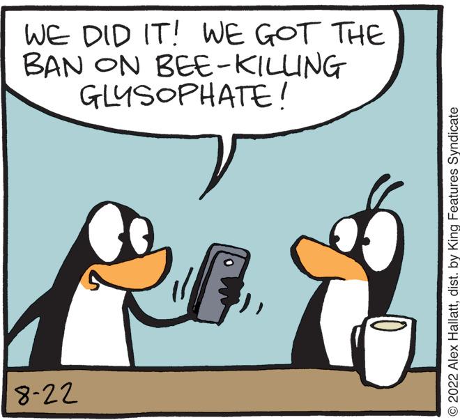 Rectangle OCR: WE DID IT! WE GOT THE BAN ON BEE-KILLING GLYSOPHATE! 8-22 © 2022 Alex Hallattdist. by King Features Syndicate WE DID IT ! WE GOT THE BAN ON BEE - KILLING GLYSOPHATE ! 8-22 © 2022 Alex Hallattdist . by King Features Syndicate