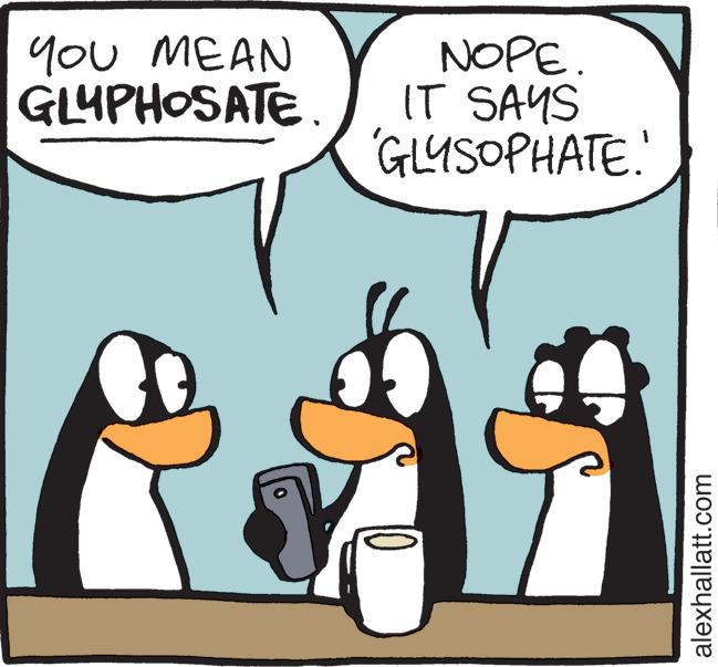 Humour OCR: YOU MEAN GLYPHOSATE. NOPE. IT SAYS 'GLYSOPHATE!' alexhallatt.com YOU MEAN GLYPHOSATE . NOPE . IT SAYS ' GLYSOPHATE ! ' alexhallatt.com