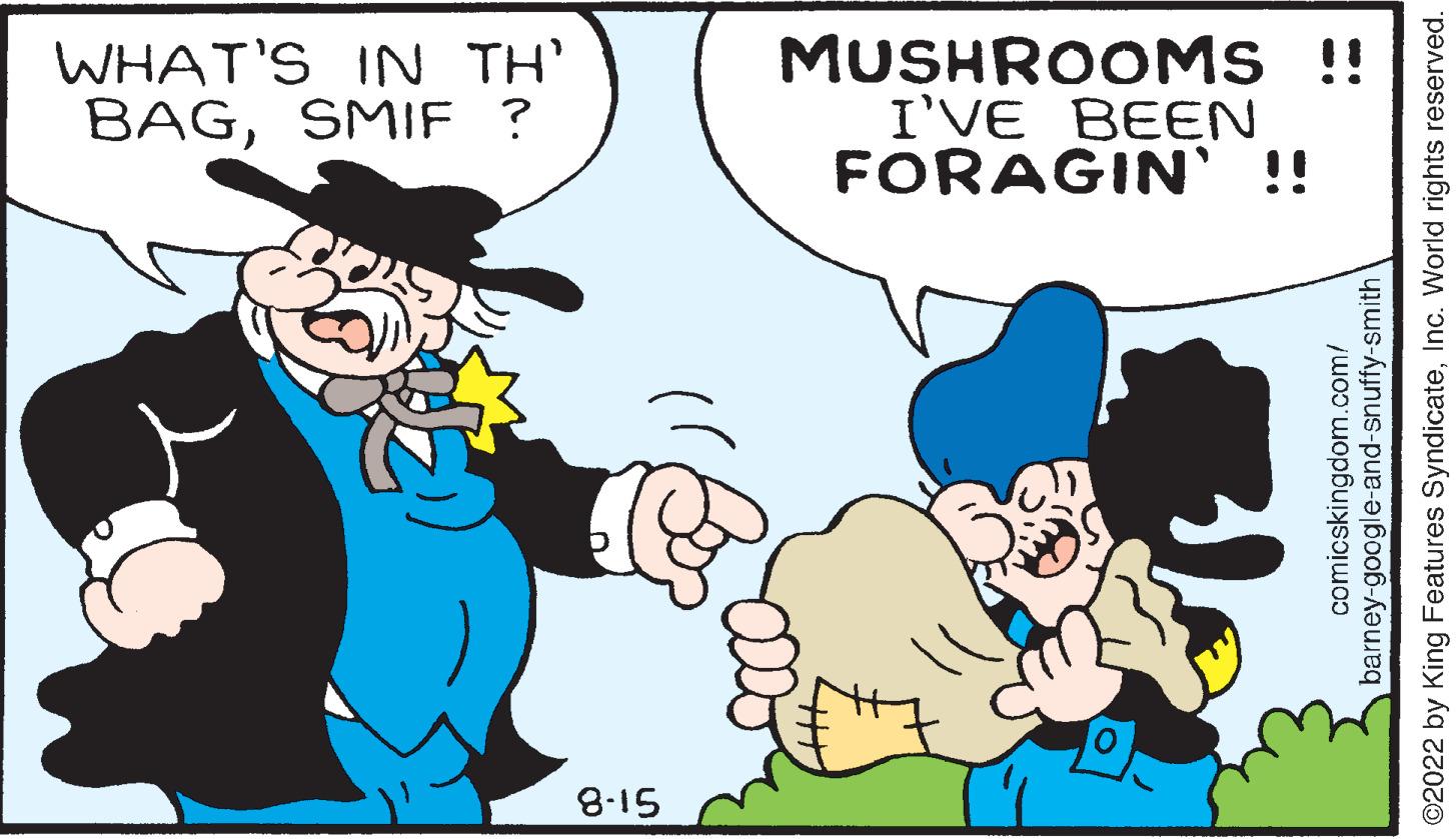 Mammal OCR: WHAT'S IN TH' BAGSMIF ? 8-15 comicskingdom.com/ barney-google-and-snuffy-smith ©2022 by King Features SyndicateInc. World rights reserved. MUSHROOMS !! I'VE BEEN FORAGIN' !! WHAT'S IN TH ' BAGSMIF ? 8-15 comicskingdom.com/ barney - google - and - snuffy - smith © 2022 by King Features SyndicateInc. World rights reserved . MUSHROOMS !! I'VE BEEN FORAGIN ' !!