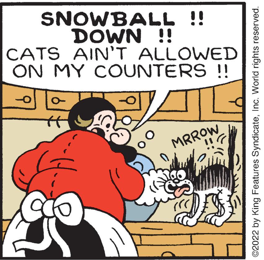 Art OCR: SNOWBALL !! DOWN !! CATS AIN'T ALLOWED ON MY COUNTERS !! O MRROW (rr ?2022 by King Features SyndicateInc. World rights reserved. SNOWBALL !! DOWN !! CATS AIN'T ALLOWED ON MY COUNTERS !! O MRROW ( rr ?2022 by King Features SyndicateInc. World rights reserved .