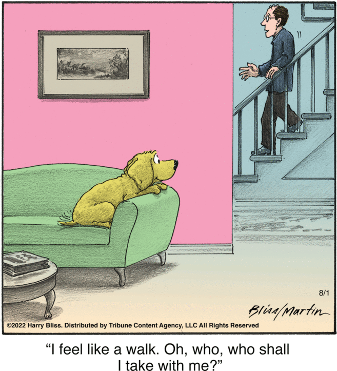 Chair OCR: ©2022 Harry Bliss. Distributed by Tribune Content AgencyLLC All Rights Reserved 11 Bling/Martin "I feel like a walk. Ohwho shall I take with me?" 8/1 © 2022 Harry Bliss . Distributed by Tribune Content AgencyLLC All Rights Reserved 11 Bling / Martin " I feel like a walk . Ohwho shall I take with me ? " 8/1