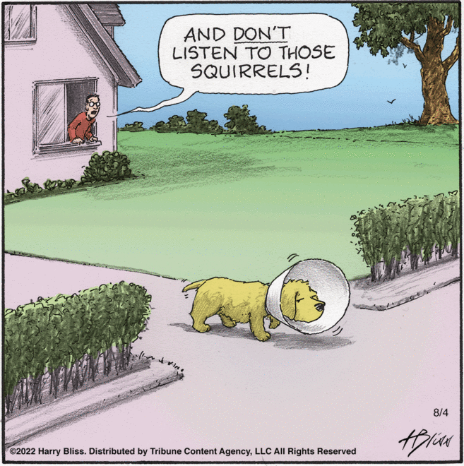 Landscape OCR: AND DON'T LISTEN TO THOSE SQUIRRELS! ?2022 Harry Bliss. Distributed by Tribune Content AgencyLLC All Rights Reserved 8/4 ????? AND DON'T LISTEN TO THOSE SQUIRRELS ! ?2022 Harry Bliss . Distributed by Tribune Content AgencyLLC All Rights Reserved 8/4 ?????