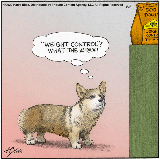 Snout OCR: ?2022 Harry Bliss. Distributed by Tribune Content AgencyLLC All Rights Reserved Hlaw "WEIGHT CONTROL? WHAT THE #!@*! 8/5 DOG FOOD www WEIGHT CONTR PIET CALA ?2022 Harry Bliss . Distributed by Tribune Content AgencyLLC All Rights Reserved Hlaw " WEIGHT CONTROL ? WHAT THE # ! @ * ! 8/5 DOG FOOD www WEIGHT CONTR PIET CALA