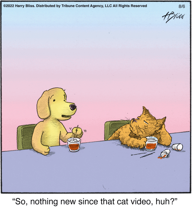 Snout OCR: ©2022 Harry Bliss. Distributed by Tribune Content AgencyLLC All Rights Reserved 17 8/6 HBILAN "Sohuh?" © 2022 Harry Bliss . Distributed by Tribune Content AgencyLLC All Rights Reserved 17 8/6 HBILAN " Sonothing new since that cat videohuh ? "
