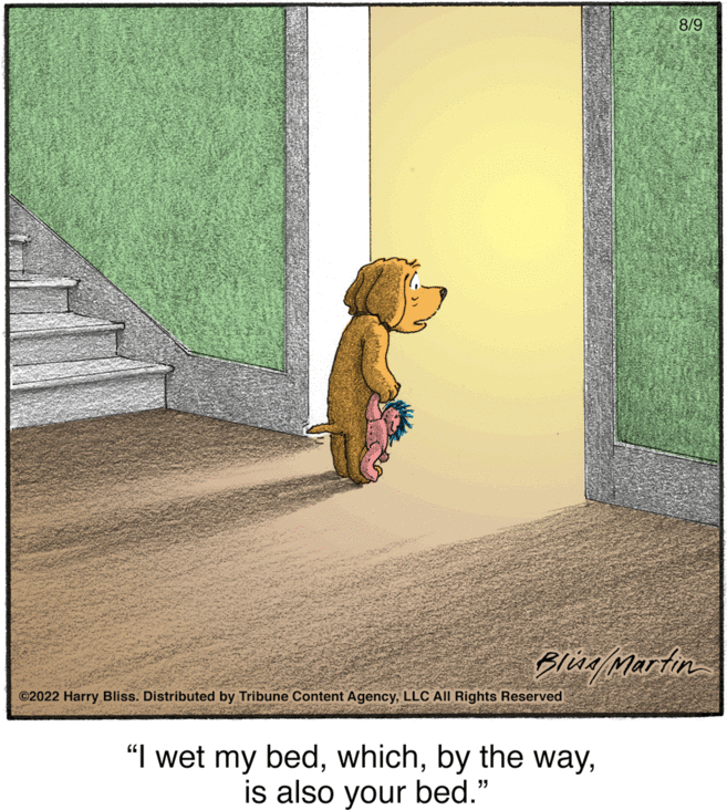 Illustration OCR: Bling/Martin ?2022 Harry Bliss. Distributed by Tribune Content AgencyLLC All Rights Reserved 8/9 "I wet my bedis also your bed." Bling / Martin ?2022 Harry Bliss . Distributed by Tribune Content AgencyLLC All Rights Reserved 8/9 " I wet my bedby the wayis also your bed . "