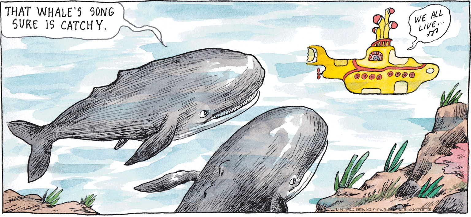 Painting OCR: Macanudo Liniers THAT WHALE'S SONG SURE IS CATCHY. WE ALL LIVE... COA ***0 Macanudo Liniers THAT WHALE'S SONG SURE IS CATCHY . WE ALL LIVE ... COA *** 0