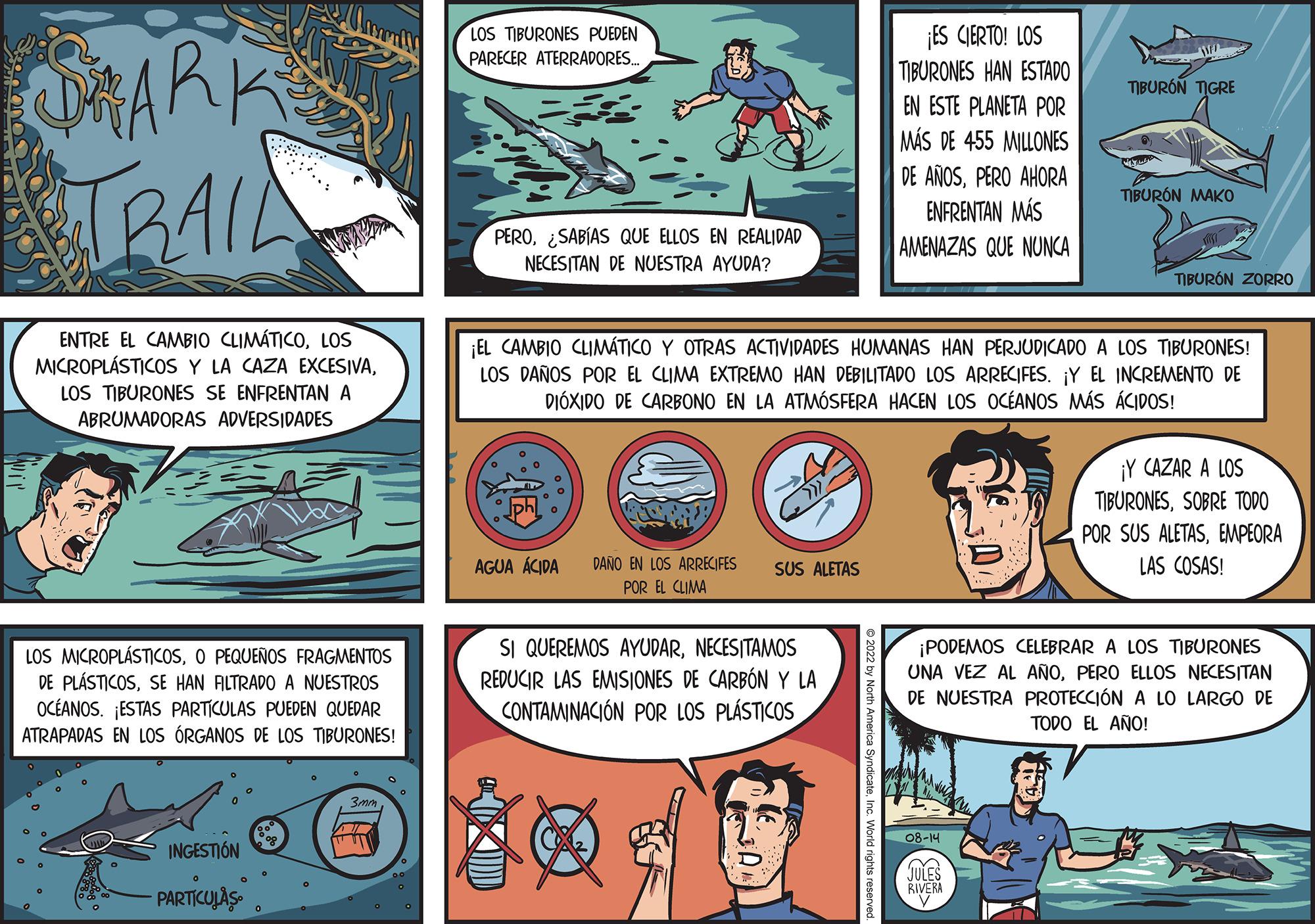 Sharing OCR: DARK TRAIL ENTRE EL CAMBIO CLIMÁTICOLOS MICROPLÁSTICOS Y LA CAZA EXCESIVALOS TIBURONES SE ENFRENTAN A ABRUMADORAS ADVERSIDADES HTR LOS MICROPLÁSTICOSO PEQUEÑOS FRAGMENTOS DE PLÁSTICOSSE HAN FILTRADO A NUESTROS OCÉANOS. ¡ESTAS PARTICULAS PUEDEN QUEDAR ATRAPADAS EN LOS ÓRGANOS DE LOS TIBURONES! M INGESTIÓN PARTICULAS 3mm LOS TIBURONES PUEDEN PARECER ATERRADORES... PERO. ¿SABÍAS QUE ELLOS EN REALIDAD NECESITAN DE NUESTRA AYUDA? AGUA ÁCIDA DAÑO EN LOS ARRECIFES SUS ALETAS POR EL CLIMA SI QUEREMOS AYUDARNECESITAMOS REDUCIR LAS EMISIONES DE CARBÓN Y LA CONTAMINACIÓN POR LOS PLÁSTICOS ¡ES CIERTO! LOS TIBURONES HAN ESTADO EN ESTE PLANETA POR MÁS DE 455 MILLONES DE AÑOSPERO AHORA ENFRENTAN MÁS AMENAZAS QUE NUNCA ¡EL CAMBIO CLIMÁTICO Y OTRAS ACTIVIDADES HUMANAS HAN PERJUDICADO A LOS TIBURONES! LOS DAÑOS POR EL CLIMA EXTREMO HAN DEBILITADO LOS ARRECIFES. ¡Y EL INCREMENTO DE DIÓXIDO DE CARBONO EN LA ATMÓSFERA HACEN LOS OCÉANOS MÁS ÁCIDOS! R WE TIBURÓN TIGRE TIBURÓN MAKO 08-14 JULES RIVERI TIBURÓN ZORRO ¡Y CAZAR A LOS TIBURONESSOBRE TODO POR SUS ALETASEMPEORA LAS COSAS! ¡PODEMOS CELEBRAR A LOS TIBURONES UNA VEZ AL AÑOPERO ELLOS NECESITAN DE NUESTRA PROTECCIÓN A LO LARGO DE TODO EL AÑO! DARK TRAIL ENTRE EL CAMBIO CLIMÁTICOLOS MICROPLÁSTICOS Y LA CAZA EXCESIVALOS TIBURONES SE ENFRENTAN A ABRUMADORAS ADVERSIDADES HTR LOS MICROPLÁSTICOSO PEQUEÑOS FRAGMENTOS DE PLÁSTICOSSE HAN FILTRADO A NUESTROS OCÉANOS . ¡ ESTAS PARTICULAS PUEDEN QUEDAR ATRAPADAS EN LOS ÓRGANOS DE LOS TIBURONES ! M INGESTIÓN PARTICULAS 3mm LOS TIBURONES PUEDEN PARECER ATERRADORES ... PERO . ¿ SABÍAS QUE ELLOS EN REALIDAD NECESITAN DE NUESTRA AYUDA ? AGUA ÁCIDA DAÑO EN LOS ARRECIFES SUS ALETAS POR EL CLIMA SI QUEREMOS AYUDARNECESITAMOS REDUCIR LAS EMISIONES DE CARBÓN Y LA CONTAMINACIÓN POR LOS PLÁSTICOS ¡ ES CIERTO ! LOS TIBURONES HAN ESTADO EN ESTE PLANETA POR MÁS DE 455 MILLONES DE AÑOSPERO AHORA ENFRENTAN MÁS AMENAZAS QUE NUNCA ¡ EL CAMBIO CLIMÁTICO Y OTRAS ACTIVIDADES HUMANAS HAN PERJUDICADO A LOS TIBURONES ! LOS DAÑOS POR EL CLIMA EXTREMO HAN DEBILITADO LOS ARRECIFES . ¡ Y EL INCREMENTO DE DIÓXIDO DE CARBONO EN LA ATMÓSFERA HACEN LOS OCÉANOS MÁS ÁCIDOS ! R WE TIBURÓN TIGRE TIBURÓN MAKO 08-14 JULES RIVERI TIBURÓN ZORRO ¡ Y CAZAR A LOS TIBURONESSOBRE TODO POR SUS ALETASEMPEORA LAS COSAS ! ¡ PODEMOS CELEBRAR A LOS TIBURONES UNA VEZ AL AÑOPERO ELLOS NECESITAN DE NUESTRA PROTECCIÓN A LO LARGO DE TODO EL AÑO !