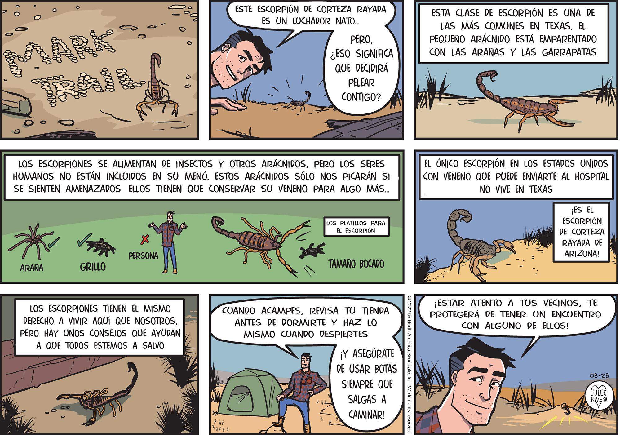 Parallel OCR: ARANA GRILLO LOS ESCORPIONES SE ALIMENTAN DE INSECTOS Y OTROS ARÁCNIDOSPERO LOS SERES HUMANOS NO ESTÁN INCLUIDOS EN SU MENÚ. ESTOS ARÁCNIDOS SÓLO NOS PICARÁN SI SE SIENTEN AMENAZADOS. ELLOS TIENEN QUE CONSERVAR SU VENENO PARA ALGO MÁS... X PERSONA LOS ESCORPIONES TIENEN EL MISMO DERECHO A VIVIR AQUÍ QUE NOSOTROSPERO HAY UNOS CONSEJOS QUE AYUDAN A QUE TODOS ESTEMOS A SALVO ESTE ESCORPIÓN DE CORTEZA RAYADA ES UN LUCHADOR NATO... PERO¿ESO SIGNIFICA QUE DECIDIRÁ *** PELEAR CONTIGO? LOS PLATILLOS PARA EL ESCORPIÓN TAMAÑO BOCADO CUANDO ACAMPESREVISA TU TIENDA ANTES DE DORMIRTE Y HAZ LO MISMO CUANDO DESPIERTES ¡Y ASEGÚRATE DE USAR BOTAS SIEMPRE QUE SALGAS A CAMINAR! ESTA CLASE DE ESCORPIÓN ES UNA DE LAS MÁS COMUNES EN TEXAS. EL PEQUEÑO ARÁCNIDO ESTÁ EMPARENTADO CON LAS ARAÑAS Y LAS GARRAPATAS EL ÚNICO ESCORPIÓN EN LOS ESTADOS UNIDOS CON VENENO QUE PUEDE ENVIARTE AL HOSPITAL NO VIVE EN TEXAS ¡ES EL ESCORPIÓN DE CORTEZA RAYADA DE ARIZONA! ¡ESTAR ATENTO A TUS VECINOSTE PROTEGERÁ DE TENER UN ENCUENTRO CON ALGUNO DE ELLOS! 08-28 JULES RIVERA ARANA GRILLO LOS ESCORPIONES SE ALIMENTAN DE INSECTOS Y OTROS ARÁCNIDOSPERO LOS SERES HUMANOS NO ESTÁN INCLUIDOS EN SU MENÚ . ESTOS ARÁCNIDOS SÓLO NOS PICARÁN SI SE SIENTEN AMENAZADOS . ELLOS TIENEN QUE CONSERVAR SU VENENO PARA ALGO MÁS ... X PERSONA LOS ESCORPIONES TIENEN EL MISMO DERECHO A VIVIR AQUÍ QUE NOSOTROSPERO HAY UNOS CONSEJOS QUE AYUDAN A QUE TODOS ESTEMOS A SALVO ESTE ESCORPIÓN DE CORTEZA RAYADA ES UN LUCHADOR NATO ... PERO¿ ESO SIGNIFICA QUE DECIDIRÁ *** PELEAR CONTIGO ? LOS PLATILLOS PARA EL ESCORPIÓN TAMAÑO BOCADO CUANDO ACAMPESREVISA TU TIENDA ANTES DE DORMIRTE Y HAZ LO MISMO CUANDO DESPIERTES ¡ Y ASEGÚRATE DE USAR BOTAS SIEMPRE QUE SALGAS A CAMINAR ! ESTA CLASE DE ESCORPIÓN ES UNA DE LAS MÁS COMUNES EN TEXAS . EL PEQUEÑO ARÁCNIDO ESTÁ EMPARENTADO CON LAS ARAÑAS Y LAS GARRAPATAS EL ÚNICO ESCORPIÓN EN LOS ESTADOS UNIDOS CON VENENO QUE PUEDE ENVIARTE AL HOSPITAL NO VIVE EN TEXAS ¡ ES EL ESCORPIÓN DE CORTEZA RAYADA DE ARIZONA ! ¡ ESTAR ATENTO A TUS VECINOSTE PROTEGERÁ DE TENER UN ENCUENTRO CON ALGUNO DE ELLOS ! 08-28 JULES RIVERA
