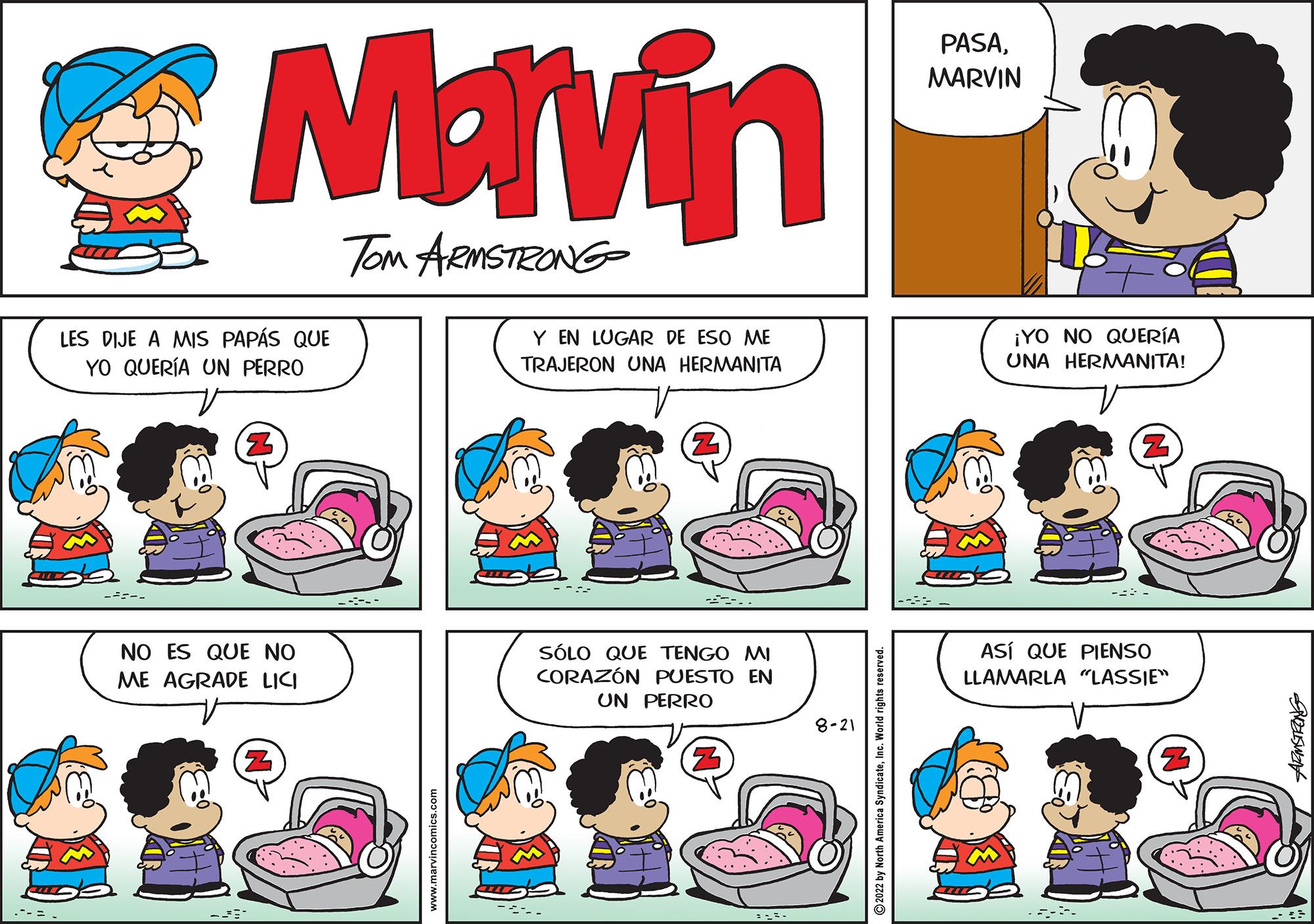 Mammal OCR: = Marvin TOM ARMSTRONG LES DIJE A MIS PAPÁS QUE YO QUERÍA UN PERRO ---- NO ES QUE NO ME AGRADE LICI Y EN LUGAR DE ESO ME TRAJERON UNA HERMANITA SÓLO QUE TENGO MI CORAZÓN PUESTO EN UN PERRO $24. 8-21 ?2022 by North America SyndicateInc. World rights res PASAMARVIN ¡YO NO QUERÍA UNA HERMANITA! ASÍ QUE PIENSO LLAMARLA "LASSIE" 27 = Marvin TOM ARMSTRONG LES DIJE A MIS PAPÁS QUE YO QUERÍA UN PERRO ---- NO ES QUE NO ME AGRADE LICI Y EN LUGAR DE ESO ME TRAJERON UNA HERMANITA SÓLO QUE TENGO MI CORAZÓN PUESTO EN UN PERRO $ 24 . 8-21 ?2022 by North America SyndicateInc. World rights res PASAMARVIN ¡ YO NO QUERÍA UNA HERMANITA ! ASÍ QUE PIENSO LLAMARLA " LASSIE " 27