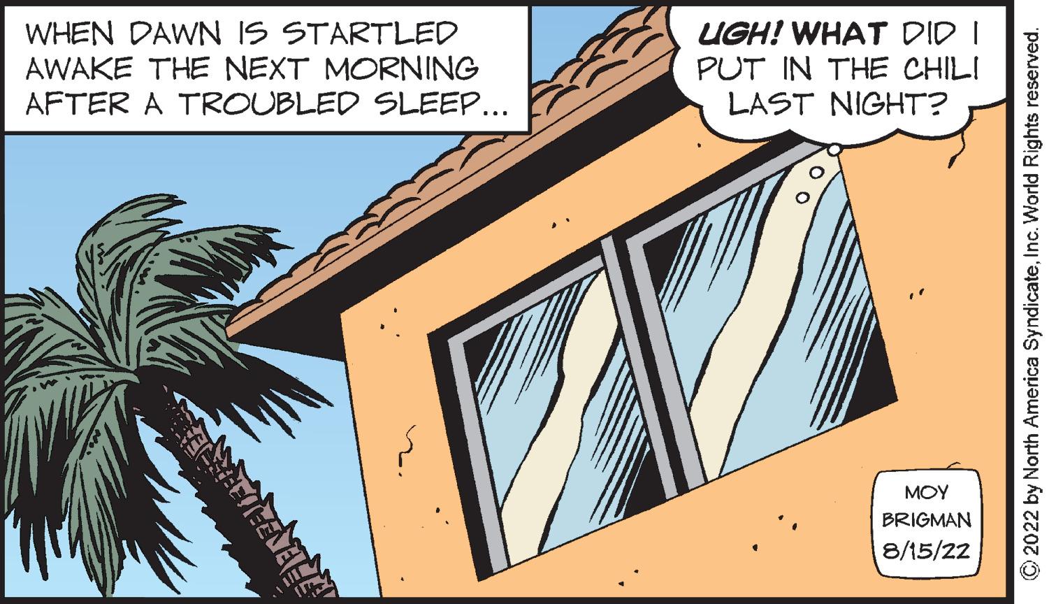 Facade OCR: WHEN DAWN IS STARTLED AWAKE THE NEXT MORNING AFTER A TROUBLED SLEEP... FELICENAL UGH! WHAT DID I PUT IN THE CHILI LAST NIGHT? ??? BRIGMAN 8/15/22 C2022 by North America SyndicateInc. World Rights reserved. WHEN DAWN IS STARTLED AWAKE THE NEXT MORNING AFTER A TROUBLED SLEEP ... FELICENAL UGH ! WHAT DID I PUT IN THE CHILI LAST NIGHT ? ??? BRIGMAN 8/15/22 C2022 by North America SyndicateInc. World Rights reserved .