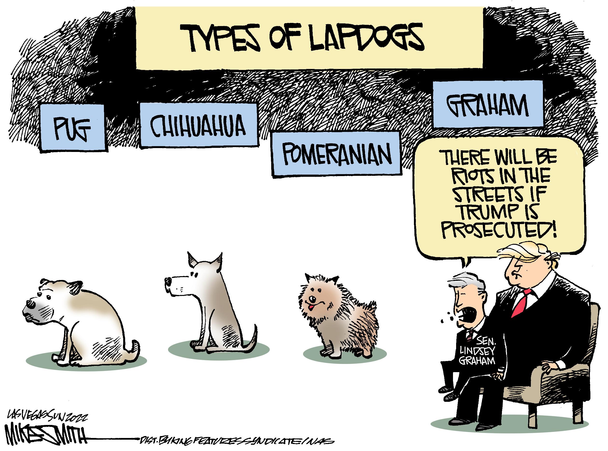 Art OCR: PUG LASVEGASSUNZOZZ MIKSMITH TYPES OF LAPDOGS CHIHUAHUA " POMERANIAN DIST.BUKING FEATURES SYNDICATE/NAS GRAHAM THERE WILL BE RIOTS IN THE STREETS IF TRUMP IS PROSECUTED! SEN LINDSEY GRAHAM PUG LASVEGASSUNZOZZ MIKSMITH TYPES OF LAPDOGS CHIHUAHUA " POMERANIAN DIST.BUKING FEATURES SYNDICATE / NAS GRAHAM THERE WILL BE RIOTS IN THE STREETS IF TRUMP IS PROSECUTED ! SEN LINDSEY GRAHAM