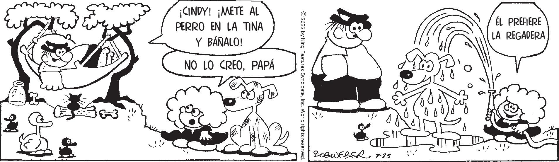 Gesture OCR: ¡CINDY! ¡METE AL PERRO EN LA TINA Y BÁÑALO! NO LO CREOPAPÁ ?2022 by King Features Sy BOBWEBER 7-25 ÉL PREFIERE LA REGADERA ¡ CINDY ! ¡ METE AL PERRO EN LA TINA Y BÁÑALO ! NO LO CREOPAPÁ ?2022 by King Features Sy BOBWEBER 7-25 ÉL PREFIERE LA REGADERA