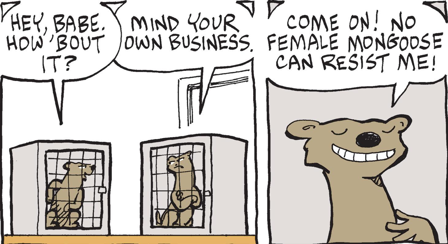Font OCR: HEYBABE. MIND YOUR HOW 'BOUT OWN BUSINESS. |T? COME ON! NO FEMALE MONGOOSE CAN RESIST ME! HEYBABE . MIND YOUR HOW ' BOUT OWN BUSINESS . | T ? COME ON ! NO FEMALE MONGOOSE CAN RESIST ME !
