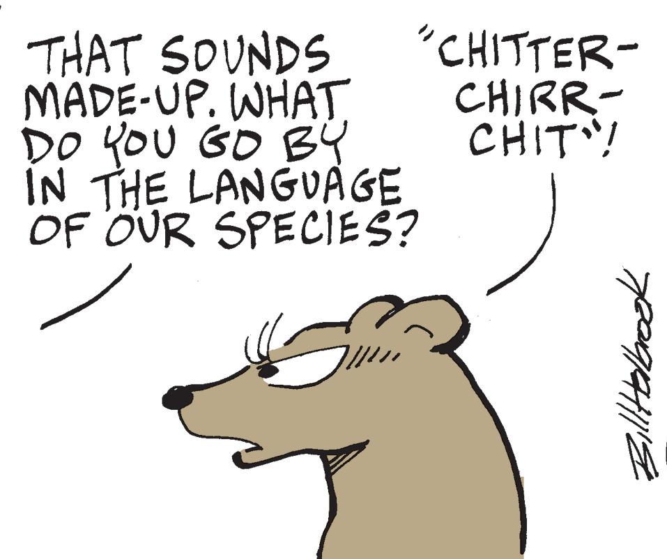 Jaw OCR: THAT SOUNDS MADE-UP. WHAT. DO YOU GO BY IN THE LANGUAGE OF OUR SPECIES? CHITTER- CHIRR- CHIT"! Bill Helbroe THAT SOUNDS MADE - UP . WHAT . DO YOU GO BY IN THE LANGUAGE OF OUR SPECIES ? CHITTER CHIRR CHIT " ! Bill Helbroe