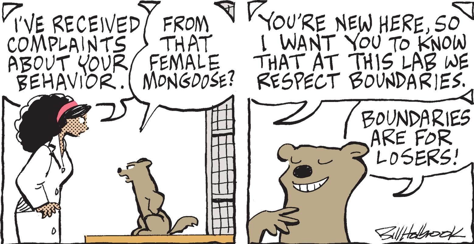 Mammal OCR: TIVE RECEIVED FROM COMPLAINTS THAT ABOUT YOUR/ FEMALE BEHAVIOR. MONGOOSE? D YOU'RE NEW HERESO I WANT YOU TO KNOW THAT AT THIS LAB WE RESPECT BOUNDARIES. BOUNDARIES ARE FOR LOSERS! Bill Holbrook TIVE RECEIVED FROM COMPLAINTS THAT ABOUT YOUR / FEMALE BEHAVIOR . MONGOOSE ? D YOU'RE NEW HERESO I WANT YOU TO KNOW THAT AT THIS LAB WE RESPECT BOUNDARIES . BOUNDARIES ARE FOR LOSERS ! Bill Holbrook