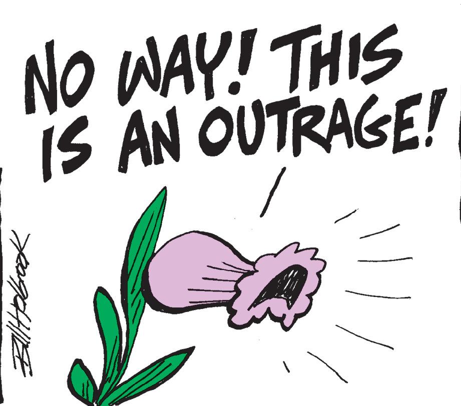 Line OCR: NO WAY! THIS IS AN OUTRAGE! / NO WAY ! THIS IS AN OUTRAGE ! /
