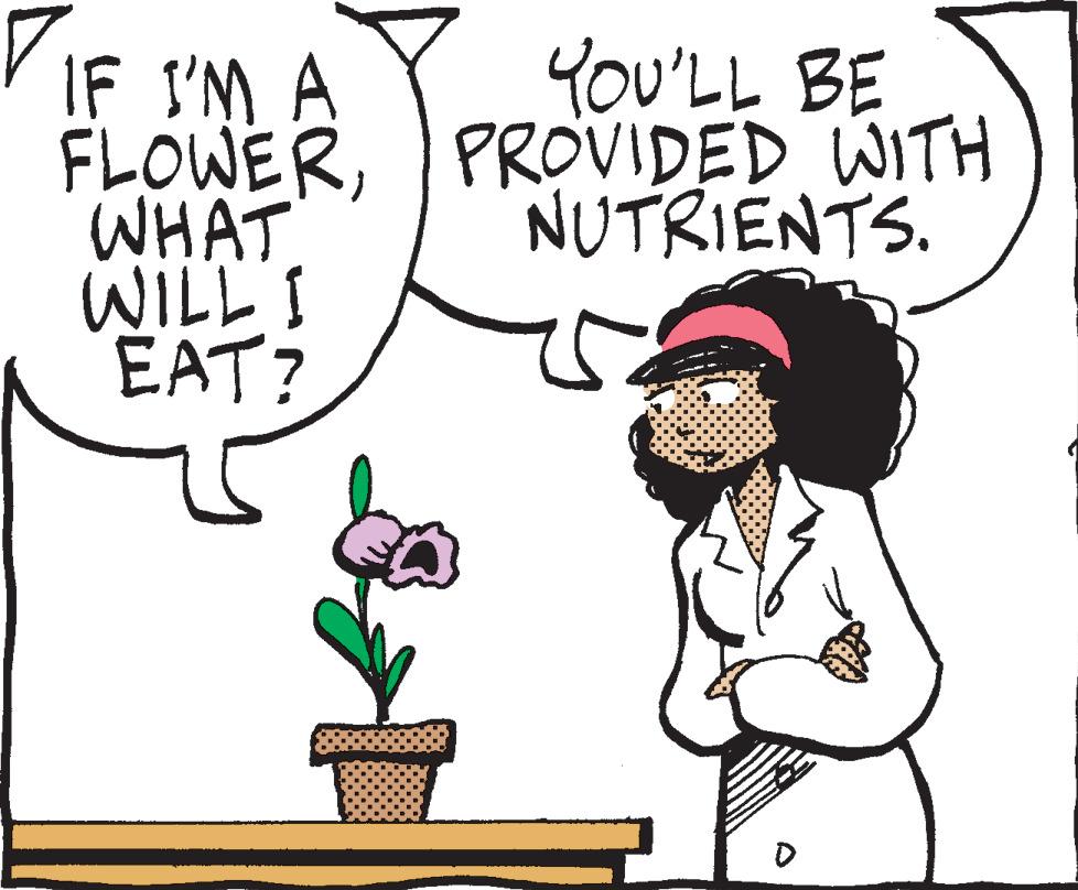 Handwriting OCR: IF I'M A FLOWERWHAT WILL I EAT? YOU'LL BE PROVIDED WITH NUTRIENTS. ( IF I'M A FLOWERWHAT WILL I EAT ? YOU'LL BE PROVIDED WITH NUTRIENTS . (