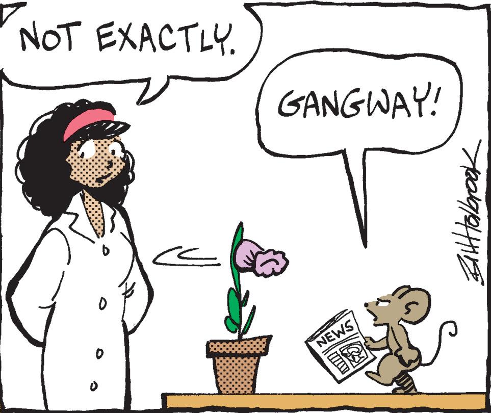 Human OCR: NOT EXACTLY. GANGWAY! NEWS Biltholbrook NOT EXACTLY . GANGWAY ! NEWS Biltholbrook