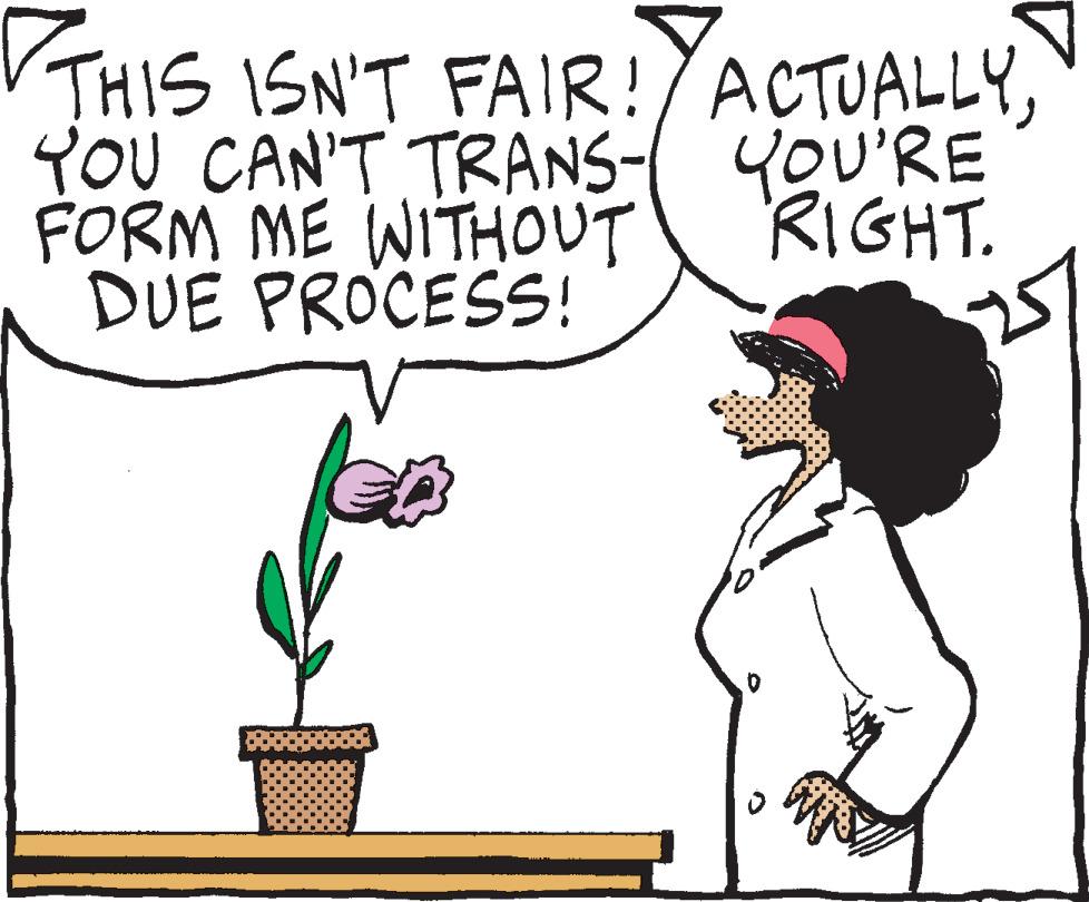 Font OCR: THIS ISN'T FAIR! ACTUALLYYOU CAN'T TRANS- FORM ME WITHOUT DUE PROCESS! YOU'RE RIGHT. THIS ISN'T FAIR ! ACTUALLYYOU CAN'T TRANS FORM ME WITHOUT DUE PROCESS ! YOU'RE RIGHT .
