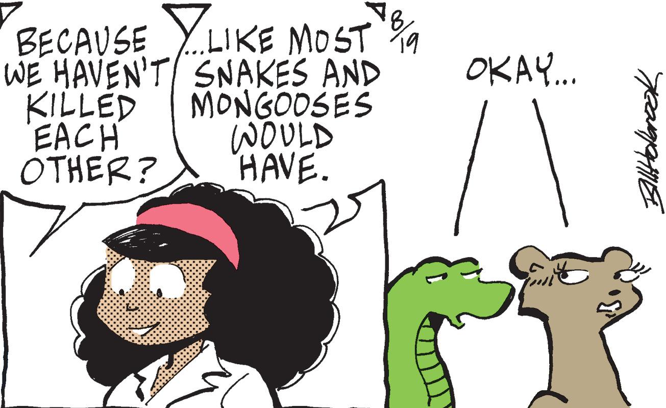 Jaw OCR: BECAUSE WE HAVEN'T KILLED EACH OTHER? ???? LIKE MOST SNAKES AND MONGOOSES WOULD HAVE. OKAY... /1 allHolbrook BECAUSE WE HAVEN'T KILLED EACH OTHER ? ???? LIKE MOST SNAKES AND MONGOOSES WOULD HAVE . OKAY ... / 1 allHolbrook