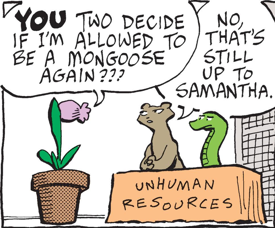 Mammal OCR: YOU TWO DECIDE IF I'M ALLOWED TO BE A MONGOOSE AGAIN??? NOTHAT'S STILL UP TO SAMANTHA. 21 UNHUMAN RESOURCES YOU TWO DECIDE IF I'M ALLOWED TO BE A MONGOOSE AGAIN ??? NOTHAT'S STILL UP TO SAMANTHA . 21 UNHUMAN RESOURCES