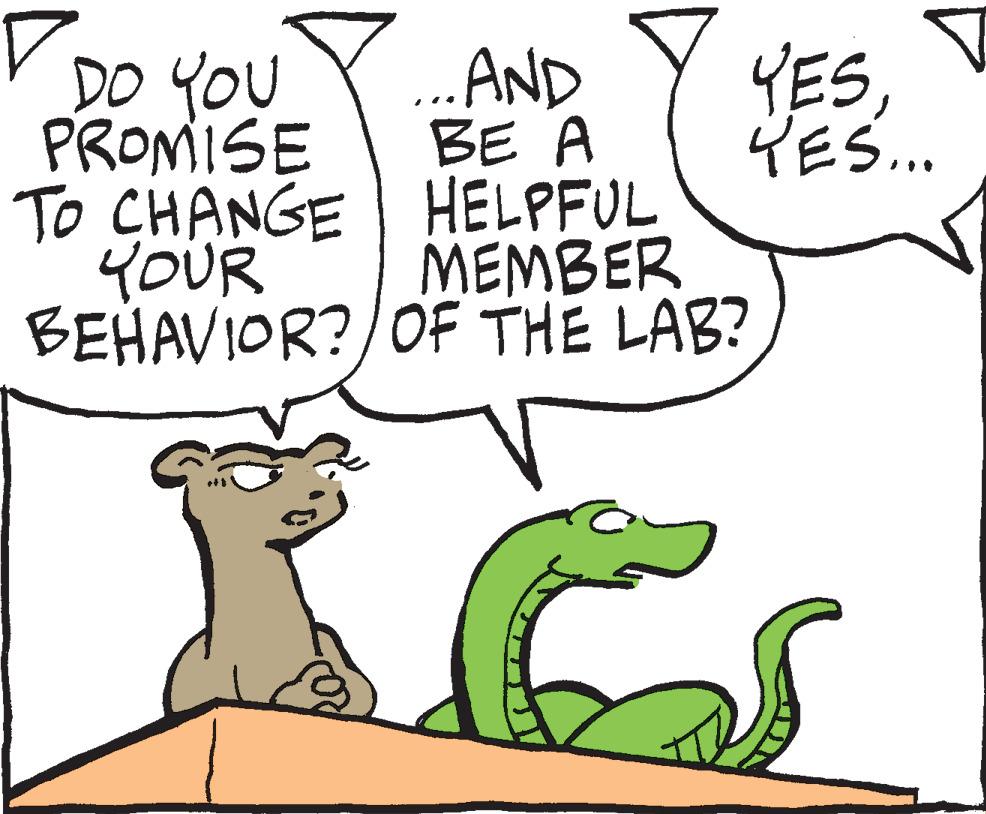 Jaw OCR: DO YOU PROMISE TO CHANGE YOUR BEHAVIOR?/OF THE LAB? .... AND BE A HELPFUL MEMBER 26 YES YES... DO YOU PROMISE TO CHANGE YOUR BEHAVIOR ? / OF THE LAB ? .... AND BE A HELPFUL MEMBER 26 YES YES ...