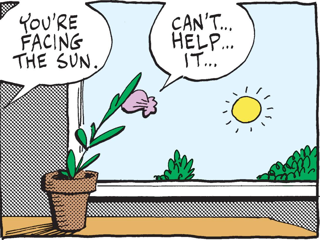 Line OCR: YOU'RE FACING THE SUN. CAN'T... HELP... IT... YOU'RE FACING THE SUN . CAN'T ... HELP ... IT ...