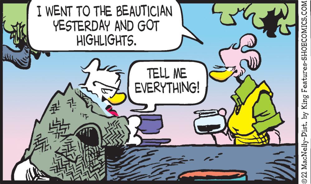 Line OCR: I WENT TO THE BEAUTICIAN YESTERDAY AND GOT HIGHLIGHTS. TELL ME EVERYTHING! - ?22 MacNelly-Dist. by King Features-SHOECOMICS.COM I WENT TO THE BEAUTICIAN YESTERDAY AND GOT HIGHLIGHTS . TELL ME EVERYTHING ! - ?22 MacNelly - Dist . by King Features-SHOECOMICS.COM