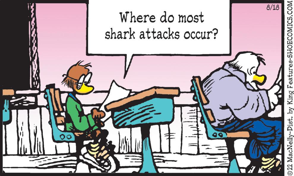 Fiction OCR: Where do most shark attacks occur? ? 8/18 22 MacNelly-Dist. by King Features-SHOECOMICS.COM Where do most shark attacks occur ? ? 8/18 22 MacNelly - Dist . by King Features-SHOECOMICS.COM