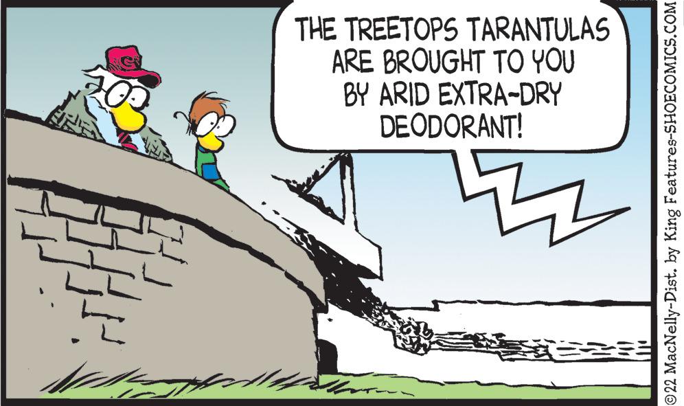 Drawing OCR: THE TREETOPS TARANTULAS ARE BROUGHT TO YOU BY ARID EXTRA-DRY DEODORANT! EZ = ?22 MacNelly-Dist. by King Features-SHOECOMICS.COM THE TREETOPS TARANTULAS ARE BROUGHT TO YOU BY ARID EXTRA - DRY DEODORANT ! EZ = ?22 MacNelly - Dist . by King Features-SHOECOMICS.COM