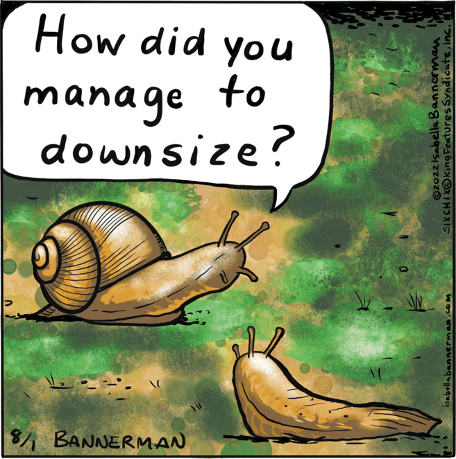 Poster OCR: 8/ BANNERMAN Lee isabella bannerman.com downsize? manage How did you to ©2022 Isabella Bannerman SIXCHIXOking Features SyndicateInc. 8 / BANNERMAN Lee isabella bannerman.com downsize ? manage How did you to © 2022 Isabella Bannerman SIXCHIXOking Features Syndicate