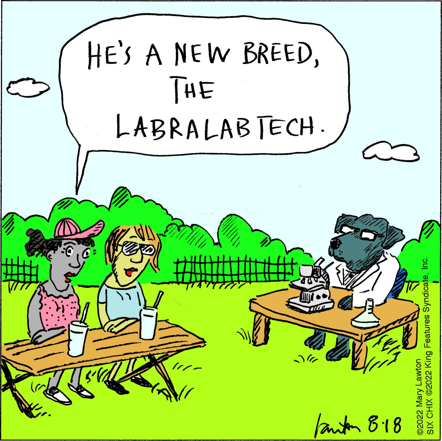 Parallel OCR: Fanton 818 ?2022 Mary Lawton SIX CHIX ?2022 King Features SyndicateInc. LABRALABTECH. THE HE'S A NEW BREEDFanton 818 ?2022 Mary Lawton SIX CHIX ?2022 King Features SyndicateInc. LABRALABTECH . THE HE'S A NEW BREED