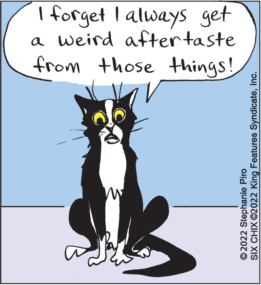 Small to medium-sized cats OCR: I forget I always get a weird aftertaste from those things! SIX CHIX ?2022 King Features SyndicateInc. ?2022 Stephanie Piro I forget I always get a weird aftertaste from those things ! SIX CHIX ?2022 King Features SyndicateInc. ?2022 Stephanie Piro