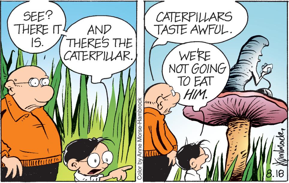Adaptation OCR: SEE? THERE IT! AND THERE'S THE 15. CATERPILLAR.Color by Anne Morse-Hambrock CATERPILLARS TASTE AWFUL. WE'RE NOT GOING TO EAT HIM. Hammock 8.18 SEE ? THERE IT ! AND THERE'S THE 15 . CATERPILLAR .Color by Anne Morse - Hambrock CATERPILLARS TASTE AWFUL . WE'RE NOT GOING TO EAT HIM . Hammock 8.18