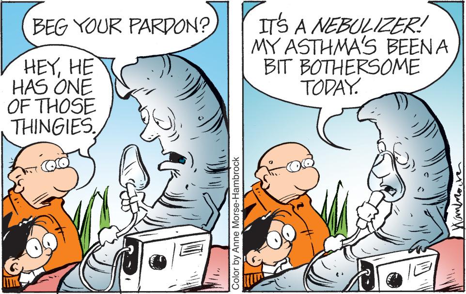 Art OCR: BEG YOUR PARDON? HEYHE HAS ONE OF THOSE THINGIES. Color by Anne Morse-Hambrock IT'S A NEBULIZER! MY ASTHMA'S BEEN A BIT BOTHERSOME TODAY. Hammaire BEG YOUR PARDON ? HEYHE HAS ONE OF THOSE THINGIES . Color by Anne Morse - Hambrock IT'S A NEBULIZER ! MY ASTHMA'S BEEN A BIT BOTHERSOME TODAY . Hammaire