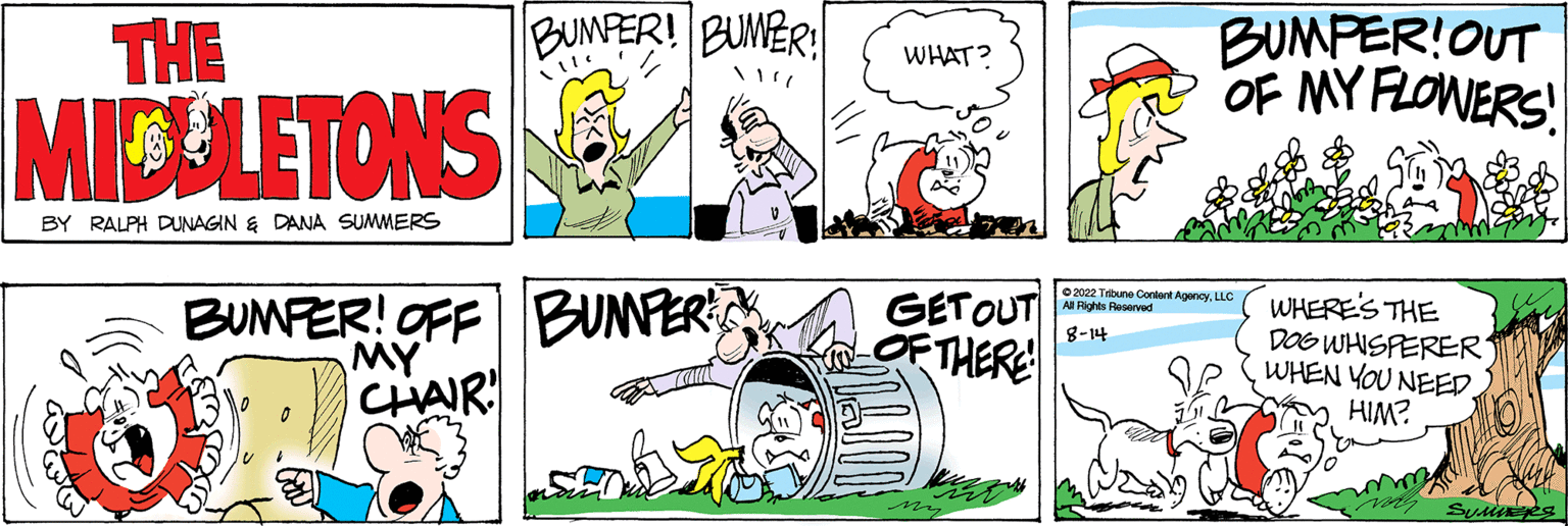 Mode of transport OCR: THE MICOLETONS BY RALPH DUNAGIN & DANA SUMMERS BUMPER! BUMPER! !! BUMPER! OFF BUMPER MY CHAIR! WHAT? GETOUT OF THERE! my BUMPER! OUT OF MY FLOWERS ?2022 Tribune Content AgesLLC All Fighle Feserved 8-14 - WHERE'S THE DOG WHISPERER WHEN YOU NEED. HIM? my summes THE MICOLETONS BY RALPH DUNAGIN & DANA SUMMERS BUMPER ! BUMPER ! !! BUMPER ! OFF BUMPER MY CHAIR ! WHAT ? GETOUT OF THERE ! my BUMPER ! OUT OF MY FLOWERS ?2022 Tribune Content AgesLLC All Fighle Feserved 8-14 - WHERE'S THE DOG WHISPERER WHEN YOU NEED . HIM ? my summes