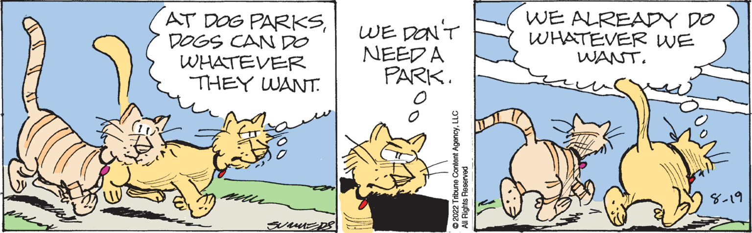 Font OCR: AT DOG PARKSDOGS CAN DO WHATEVER THEY WANT. me SUMMERS S WE DON'T NEED A PARK. ?2022 Tribune Content AgencyLLC All Rights Reserved WE ALREADY DO WHATEVER WE WANT. 8-19 AT DOG PARKSDOGS CAN DO WHATEVER THEY WANT . me SUMMERS S WE DON'T NEED A PARK . ?2022 Tribune Content AgencyLLC All Rights Reserved WE ALREADY DO WHATEVER WE WANT . 8-19