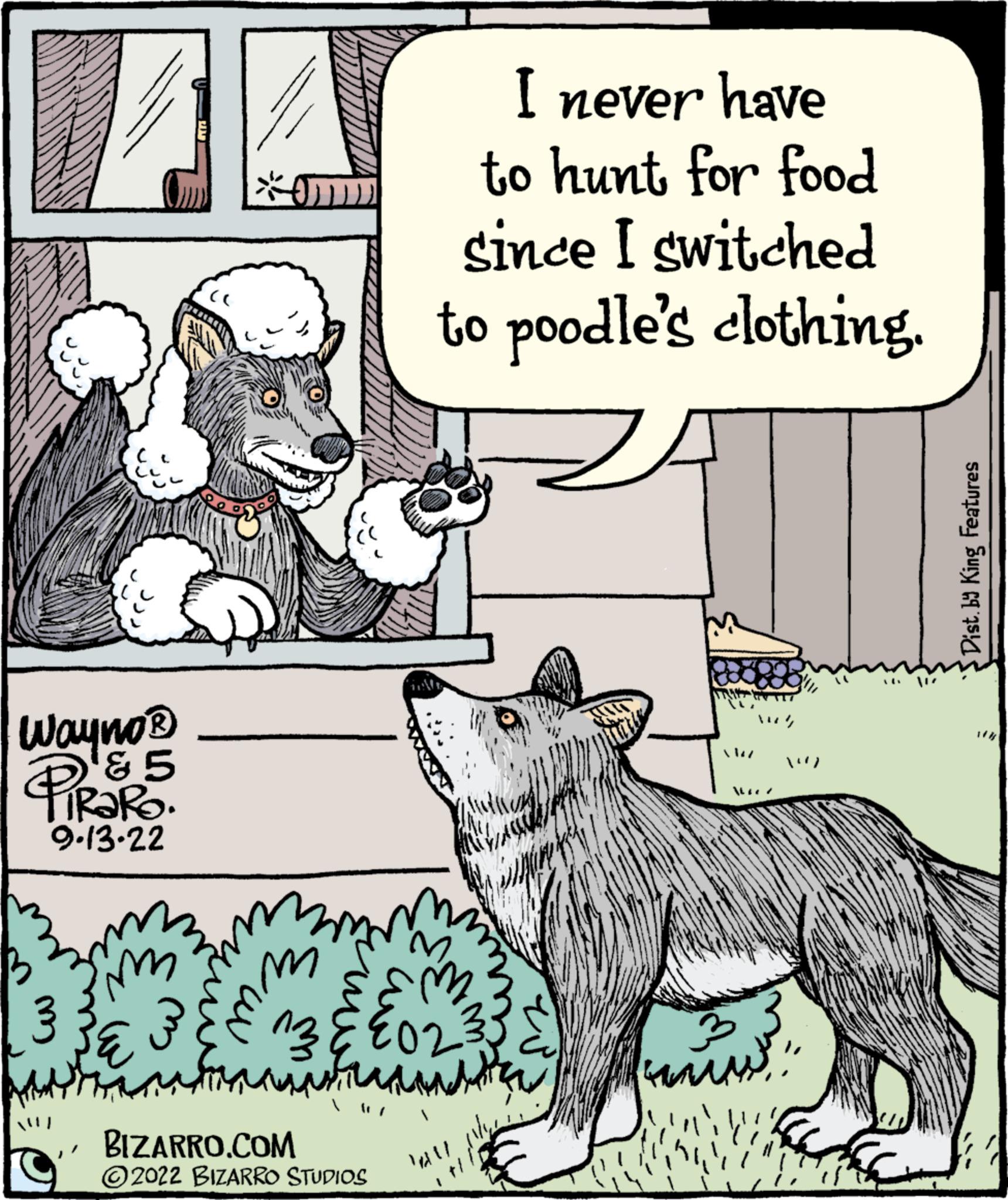 Terrestrial animal OCR: AA Wayno? 5 PiRaRo 9.13.22 J SE 7 I never have to hunt for food since I switched to poodle's clothing. im ????? ????? BIZARRO.COM 2022 BIZARRO STUDIOS !!! WI ?????? "") Dist. by King Features HA AA Wayno? 5 PiRaRo 9.13.22 J SE 7 I never have to hunt for food since I switched to poodle's clothing . im ????? ????? BIZARRO.COM 2022 BIZARRO STUDIOS !!! WI ?????? " " ) Dist . by King Features HA