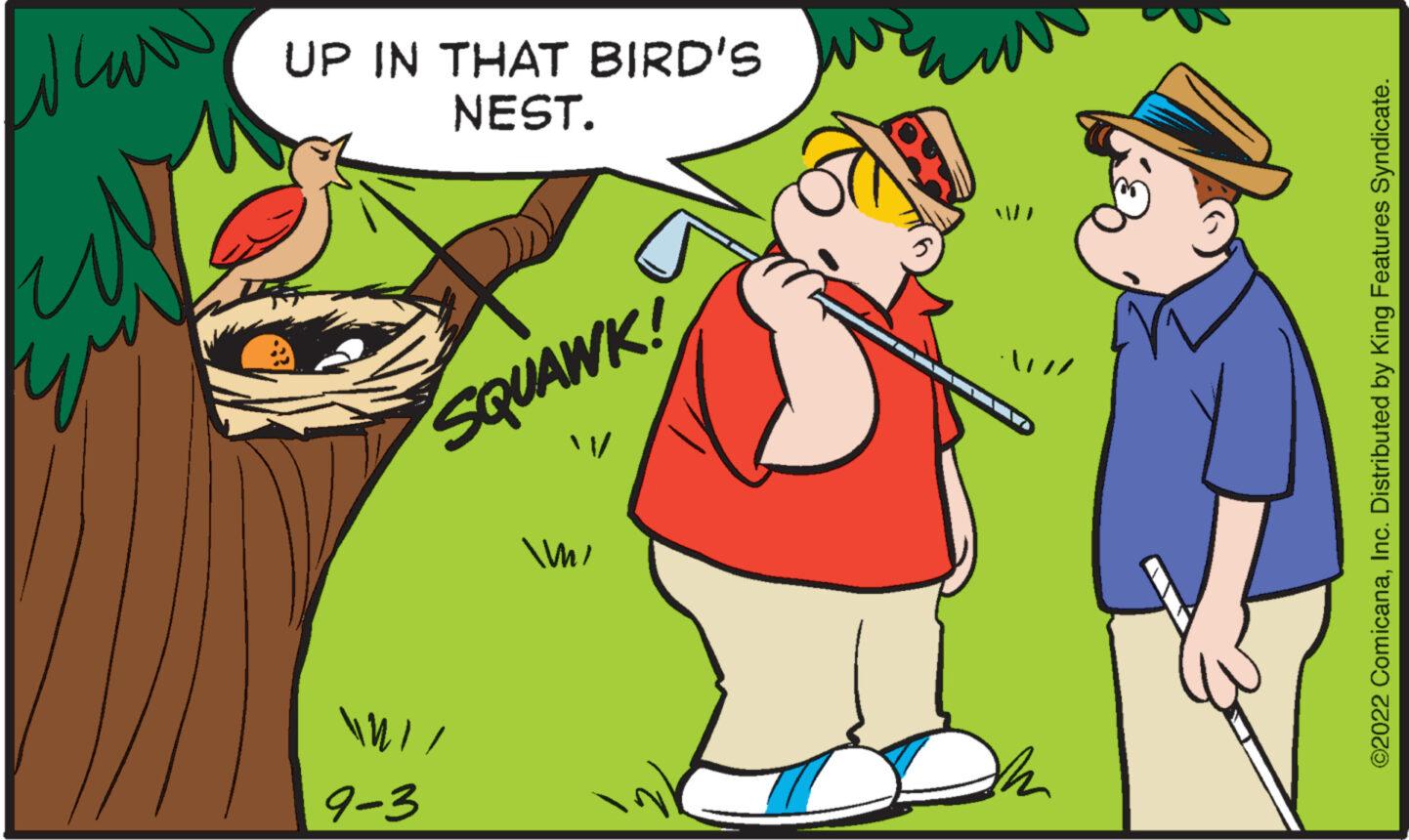 Font OCR: Whar ??? UP IN THAT BIRD'S NEST. SQUAWK! / / 9-3 m/ ©2022 ComicanaInc. Distributed by King Features Syndicate. Whar ??? UP IN THAT BIRD'S NEST . SQUAWK ! / / 9-3 m / © 2022 ComicanaInc. Distributed by King Features Syndicate .