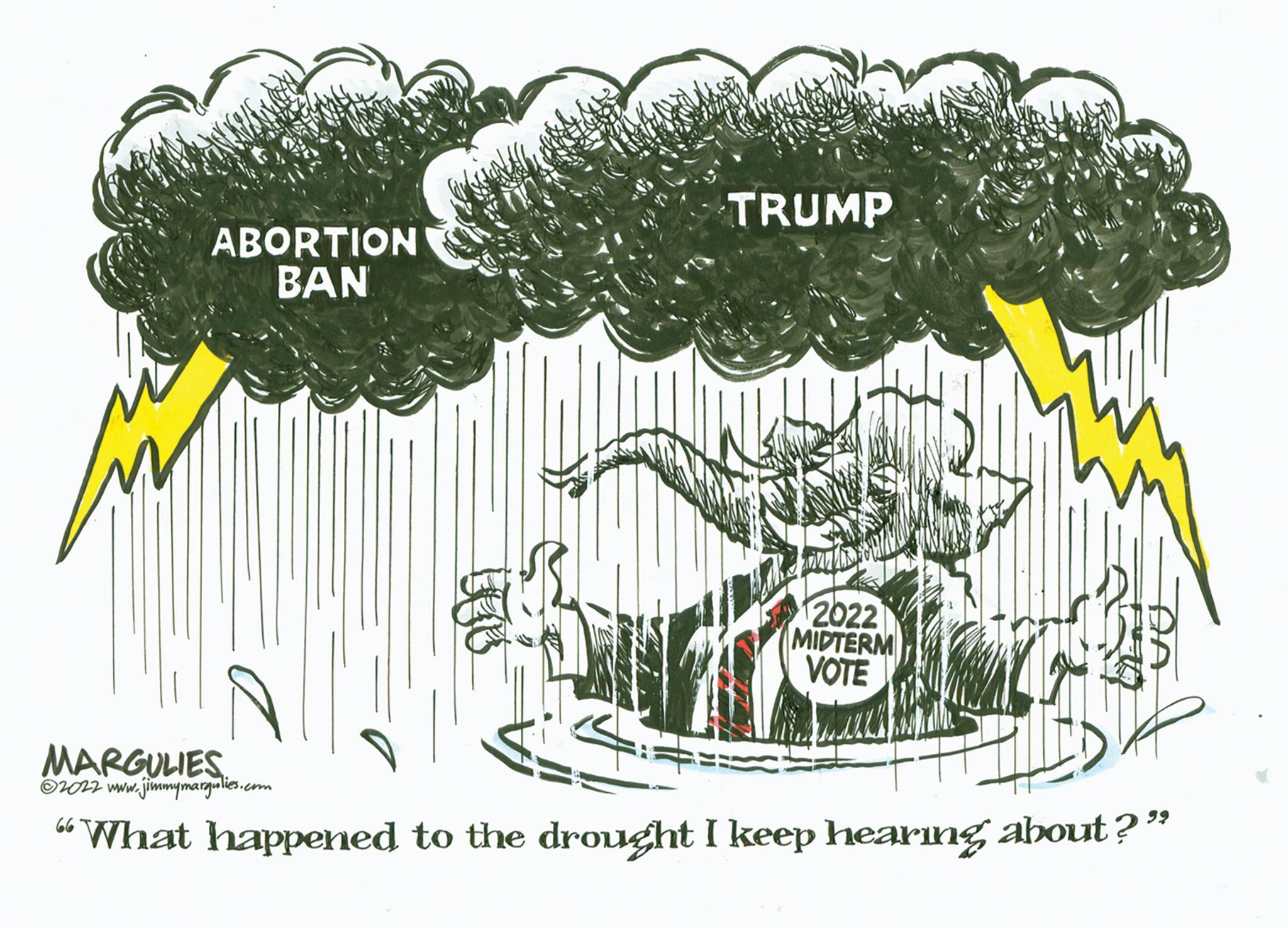 Grass OCR: ABORTION BAN TRUMP 2022 MIDTERM VOTE MARGULIES ?2022 www.jimmymargulies.com "What happened to the drought I keep hearing about?" ABORTION BAN TRUMP 2022 MIDTERM VOTE MARGULIES ?2022 www.jimmymargulies.com " What happened to the drought I keep hearing about ? "