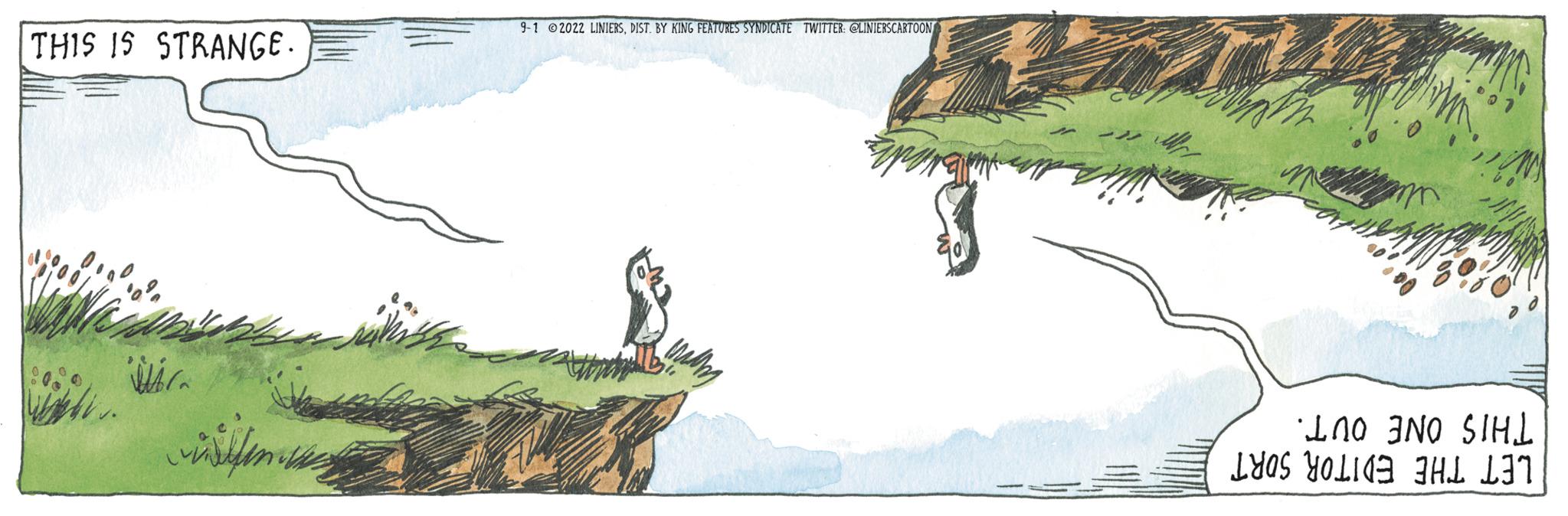 Terrestrial plant OCR: THIS IS STRANGE. in 9-1 2022 LINIERSDIST. BY KING FEATURES SYNDICATE TWITTER GUNIERSCARTOON THIS ONE OUT. LET THE EDITOR SORT THIS IS STRANGE . in 9-1 2022 LINIERSDIST . BY KING FEATURES SYNDICATE TWITTER GUNIERSCARTOON THIS ONE OUT . LET THE EDITOR SORT