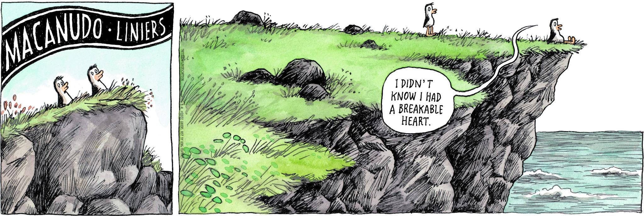 Font OCR: MACANUDO - LINIERS ER I DIDN'T KNOW I HAD A BREAKABLE HEART. MACANUDO - LINIERS ER I DIDN'T KNOW I HAD A BREAKABLE HEART .