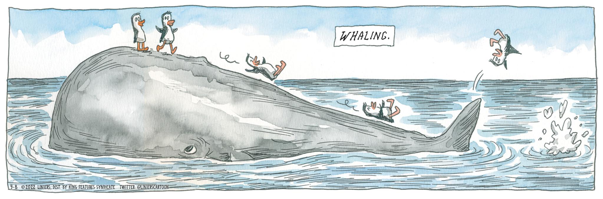 Paint OCR: 9-8 2022 LINIERSDIST BY RING FEATURES SYNDICATE TWITTER: @UNIERSCARTOON WHALING. 9-8 2022 LINIERSDIST BY RING FEATURES SYNDICATE TWITTER : @UNIERSCARTOON WHALING .