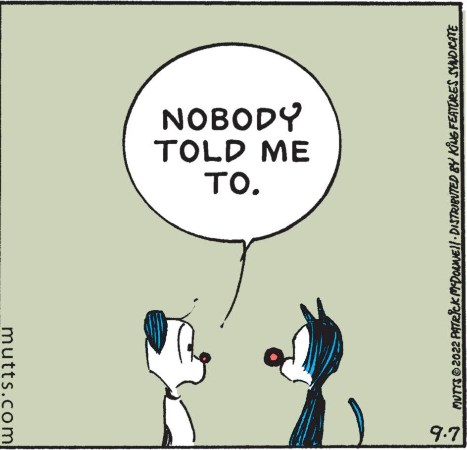 Rectangle OCR: mutts.com 9.7 TO. TOLD ME NOBODY MUTTS © 2022 PATRICK MCDOUNE}| · DISTRIBUTED BY KING FEATURES SYNDICATE mutts.com 9.7 TO . TOLD ME NOBODY MUTTS © 2022 PATRICK MCDOUNE } | · DISTRIBUTED BY KING FEATURES SYNDICATE